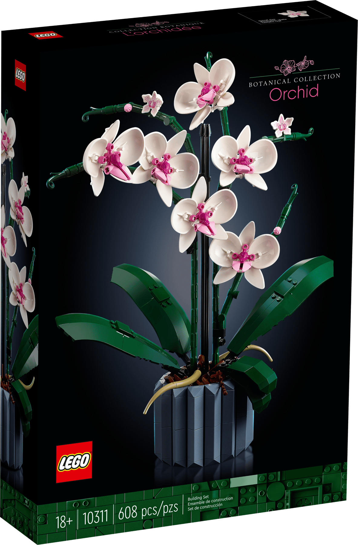 Doos LEGO Botanicals Orchidee (10311)