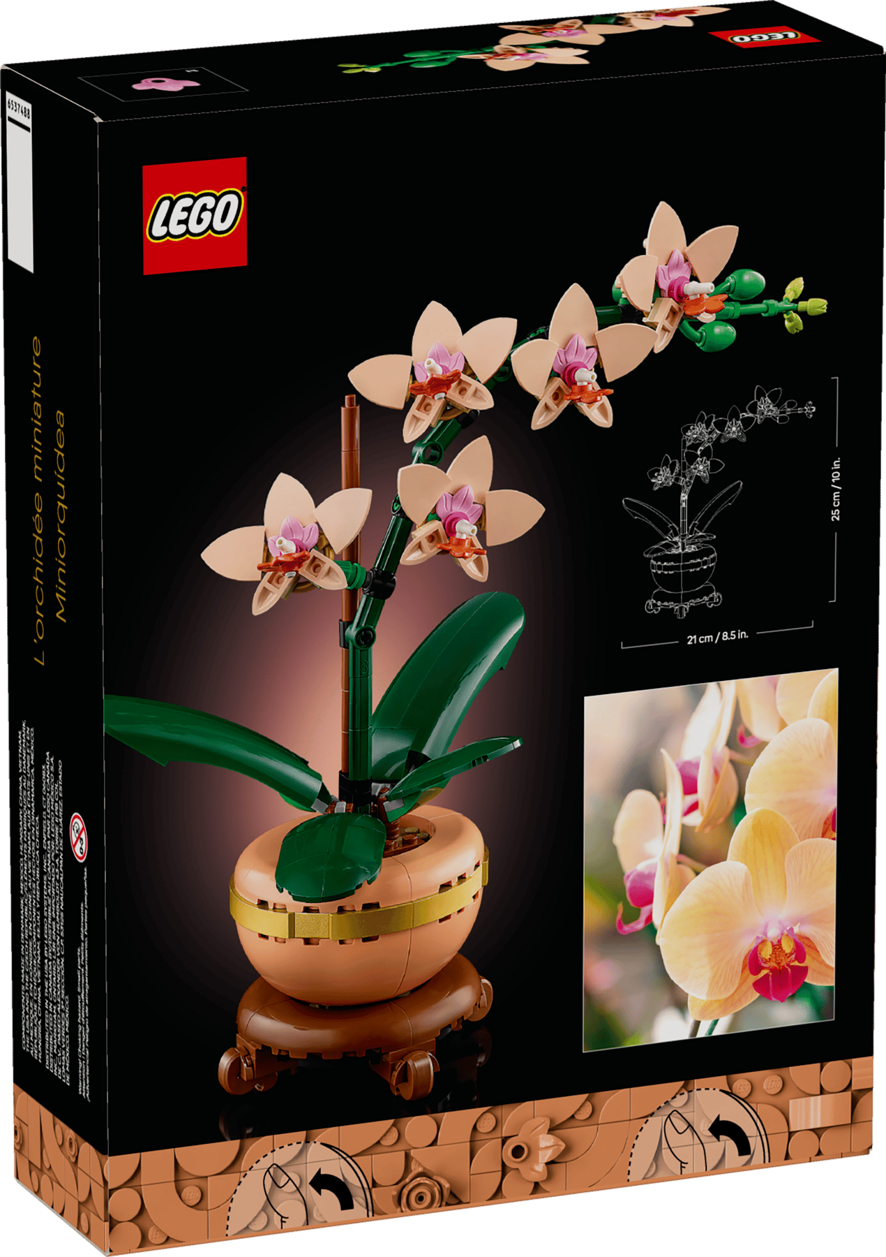 Doos LEGO Botanicals Miniorchidee (10343)
