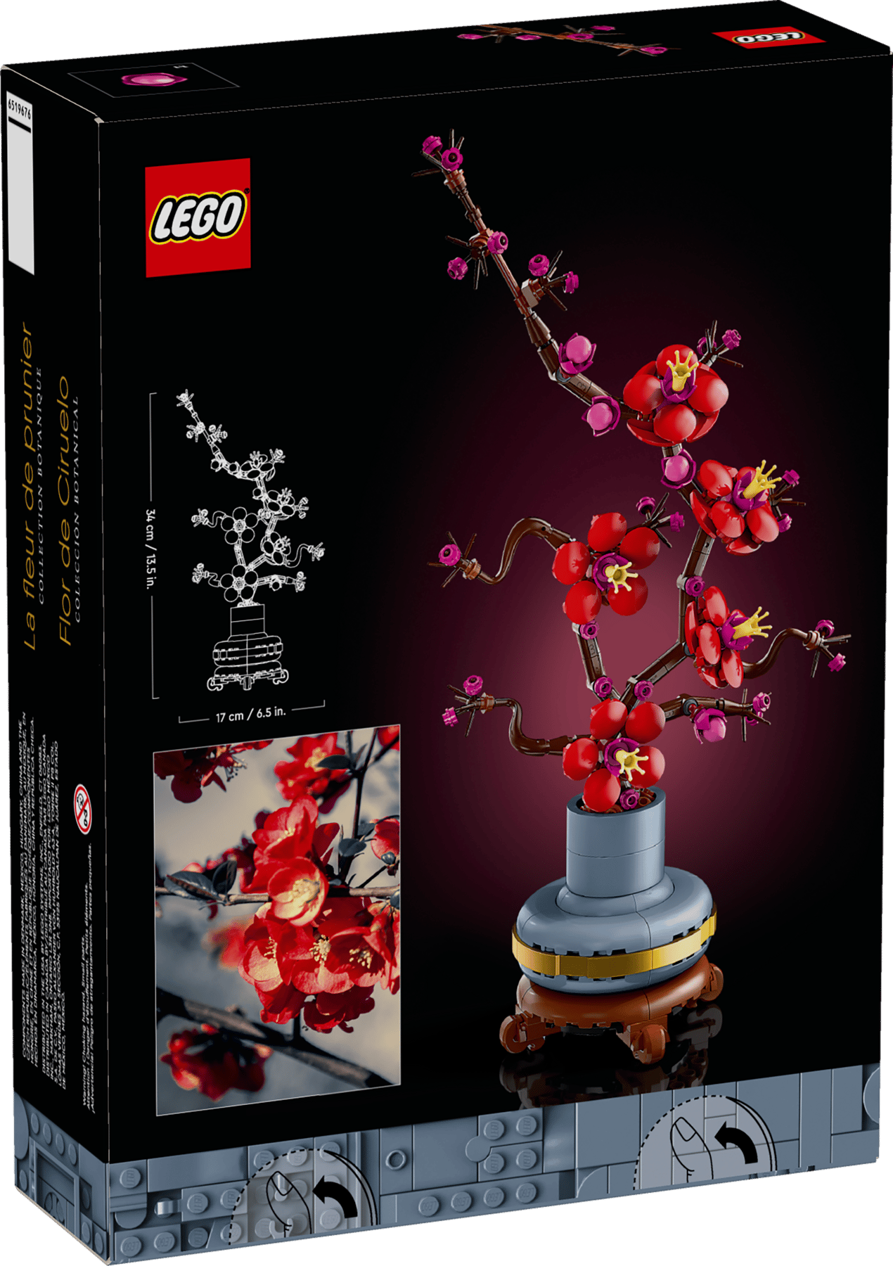 Doos LEGO Botanicals Japanse abrikoos (10369)