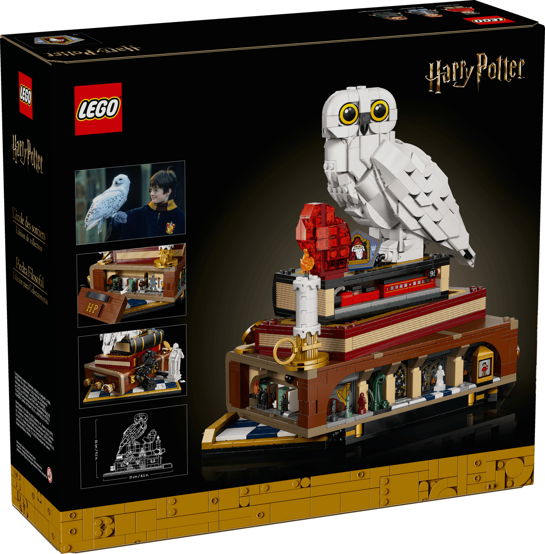 Doos LEGO Harry Potter Steen der Wijzen - Verzameleditie (76466)